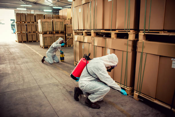 Best Bed Bug Extermination  in Scanlon, MN