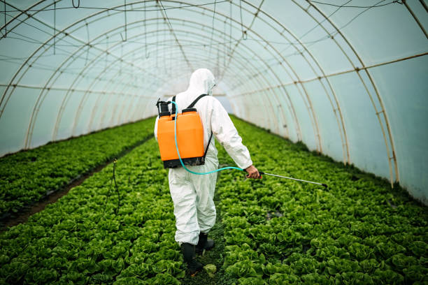 Best Local Pest Control Services  in Scanlon, MN