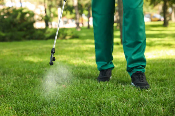 Best Pest Inspection Near Me  in Scanlon, MN
