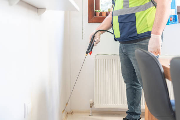 Best Cockroach Control Services  in Scanlon, MN