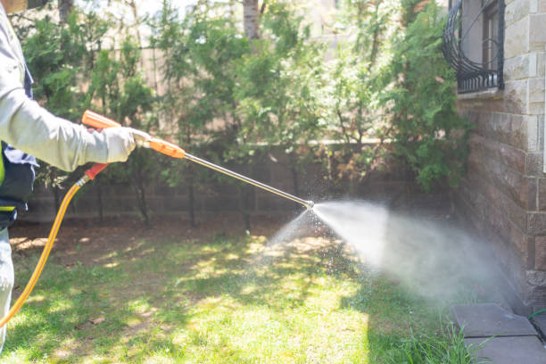 Best Wildlife Control Services  in Scanlon, MN