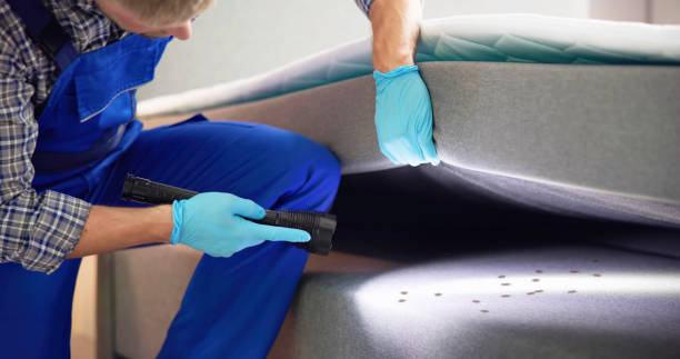 Best Pest Prevention Services  in Scanlon, MN