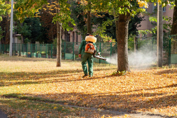 Best Best Pest Control Companies  in Scanlon, MN